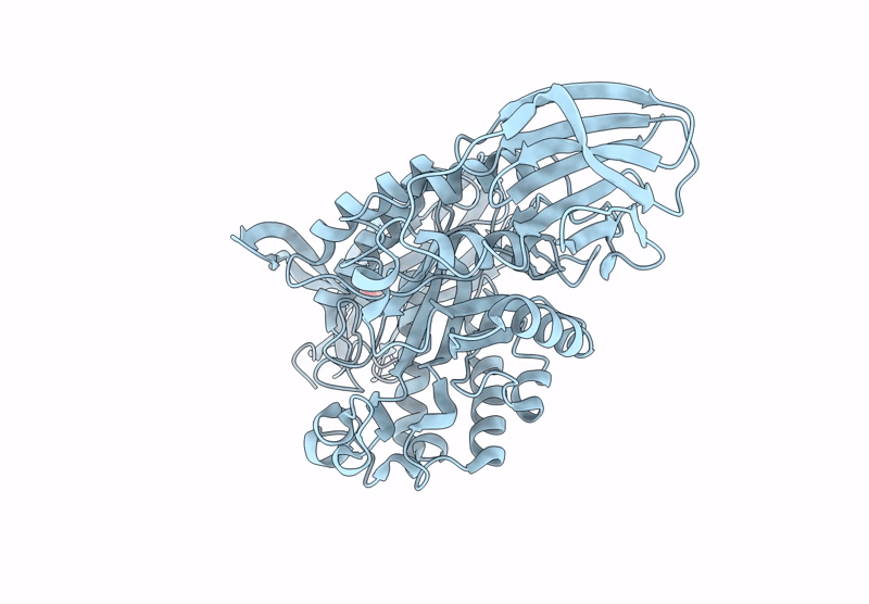 9GPC image