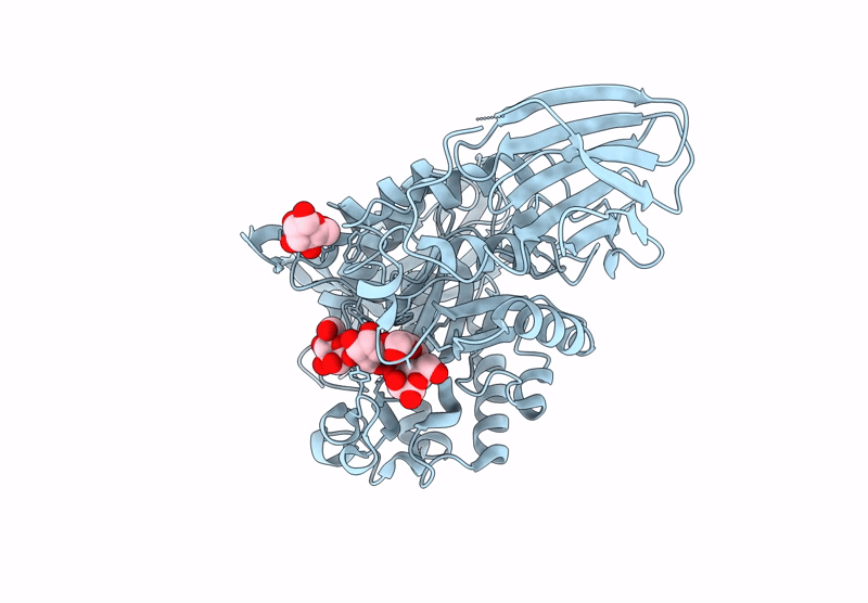 9GPE image