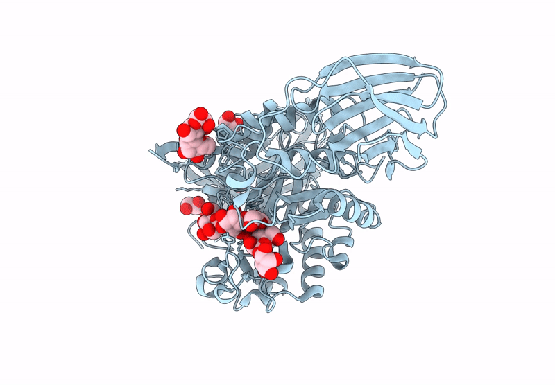 9GPF image