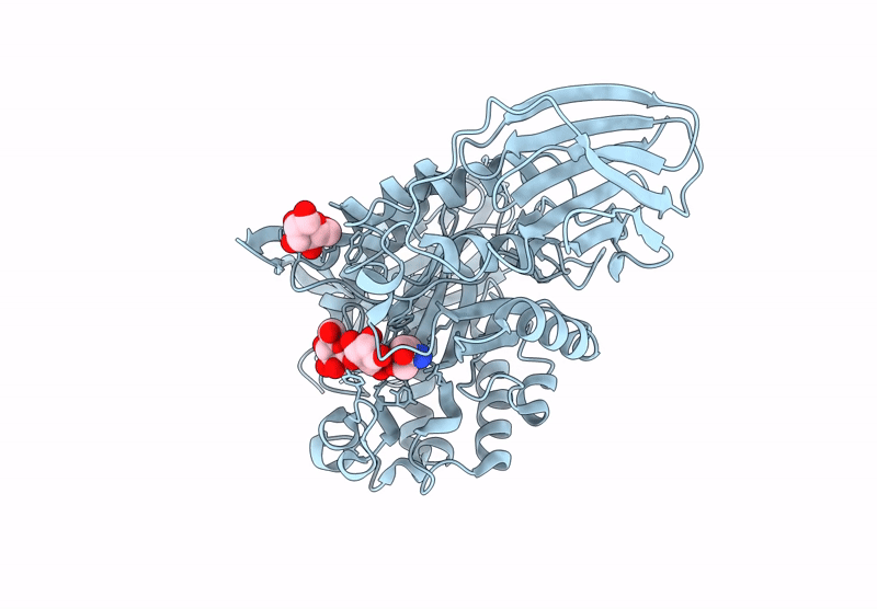 9GPG image