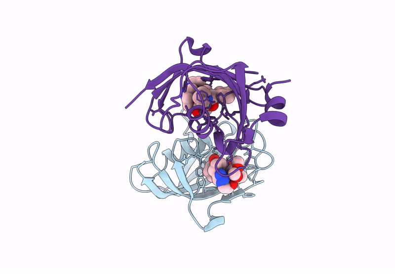 9GPL image