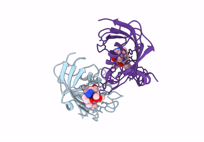 9GPP image