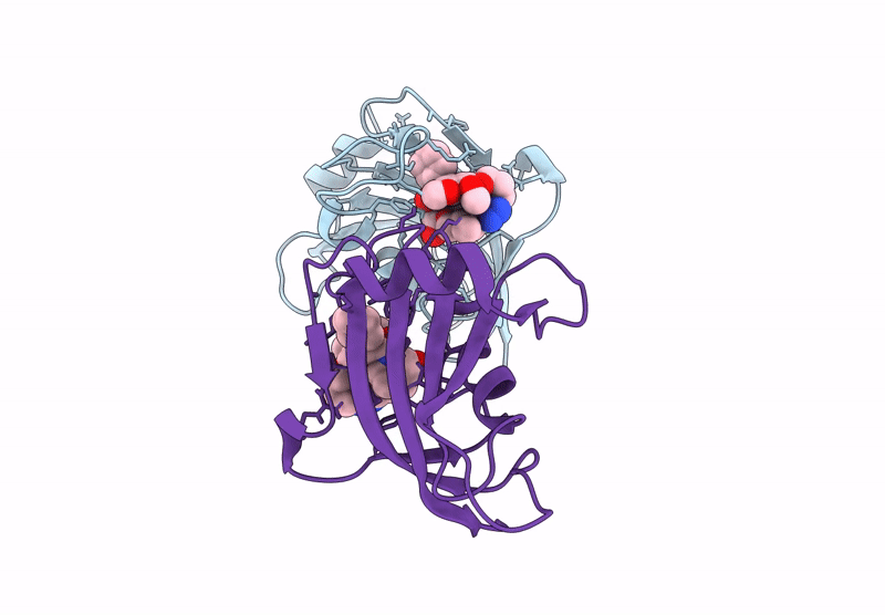 9GPW image