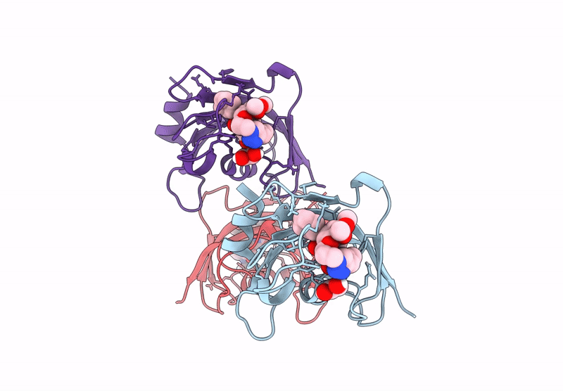 9GPY image