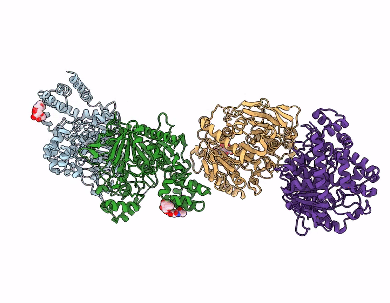 9GRB image