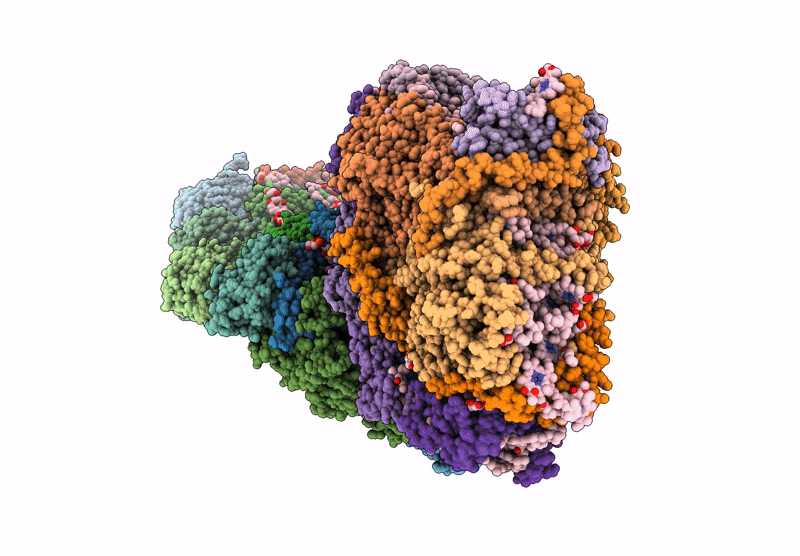 9GRX image