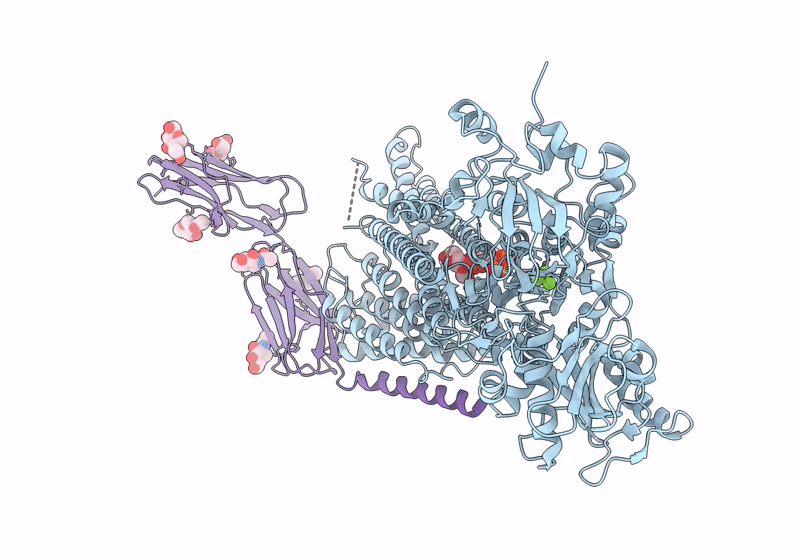 9GSD image