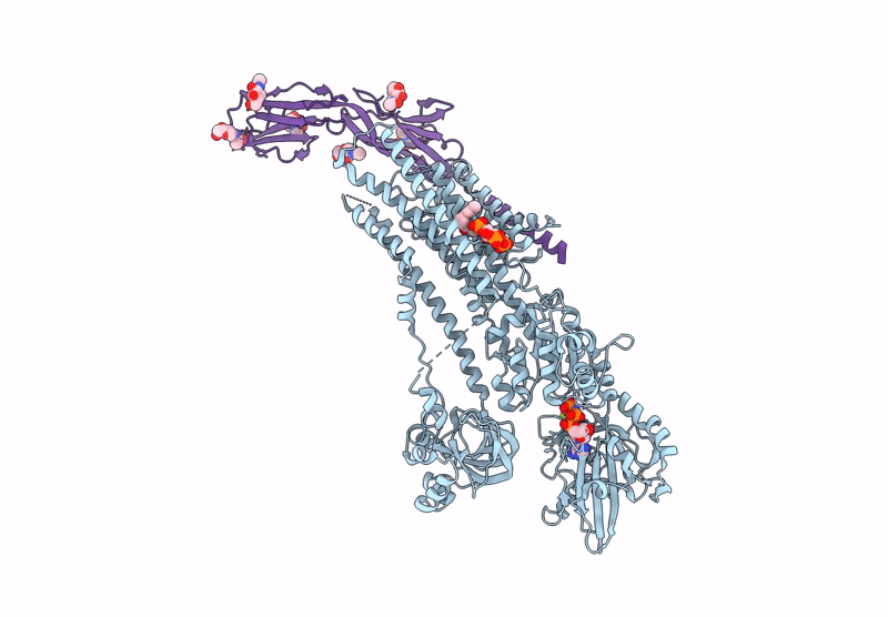 9GSF image