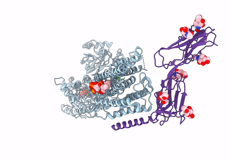 9GSH image