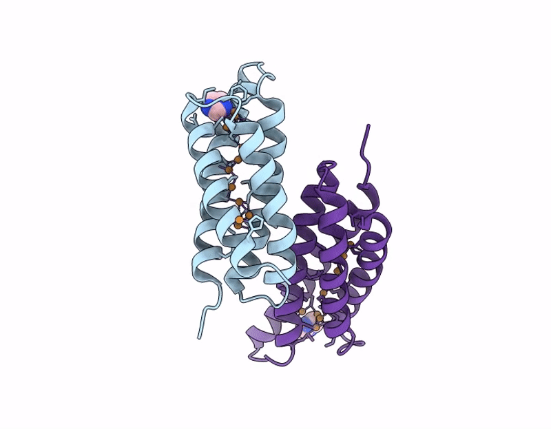 9GSK image