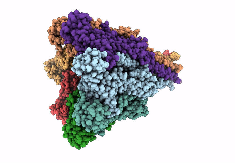 9GSN image