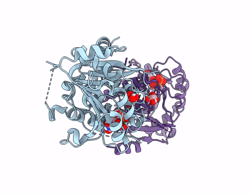 9GSR image