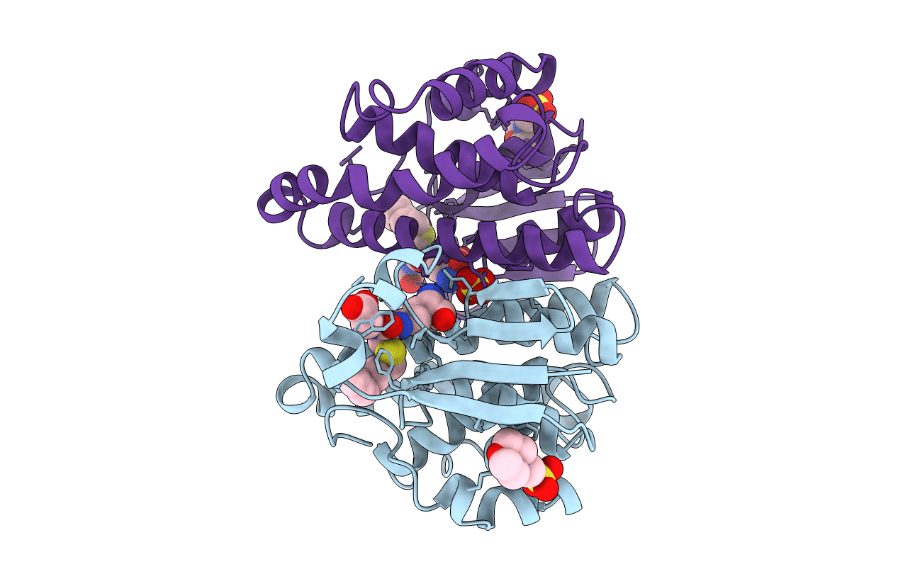 9gss image