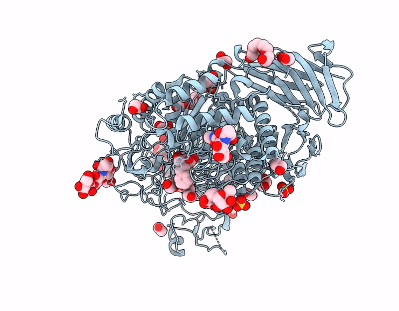 9GSV image