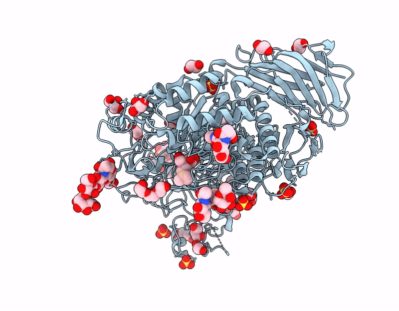 9GSW image