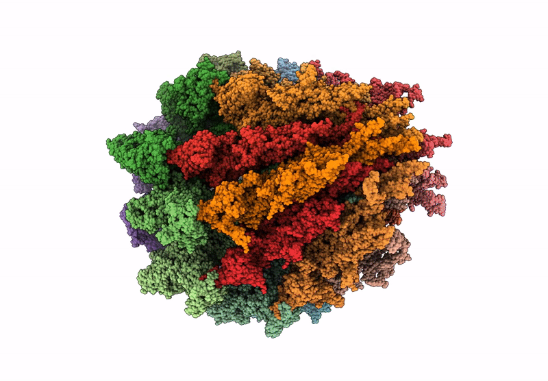 9GSX image