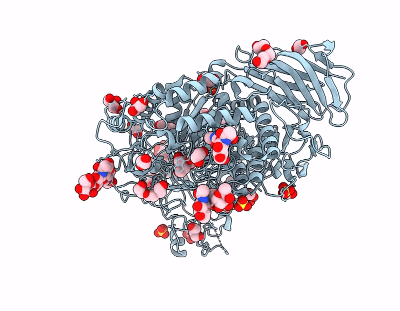 9GTN image