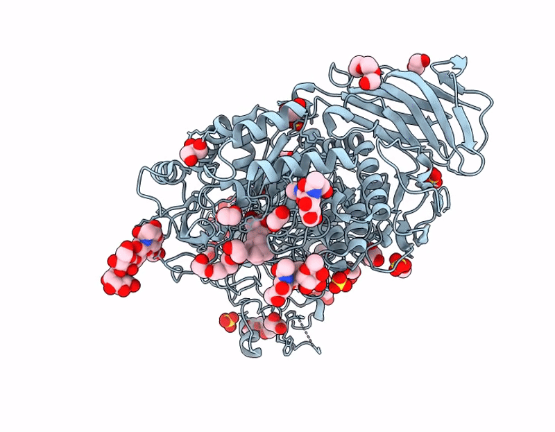 9GTT image