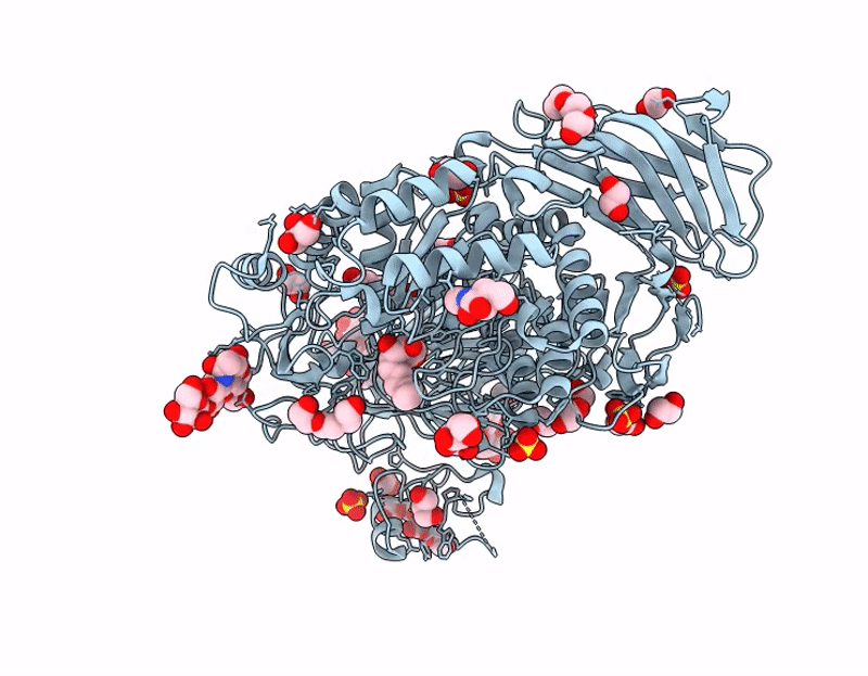 9GTW image