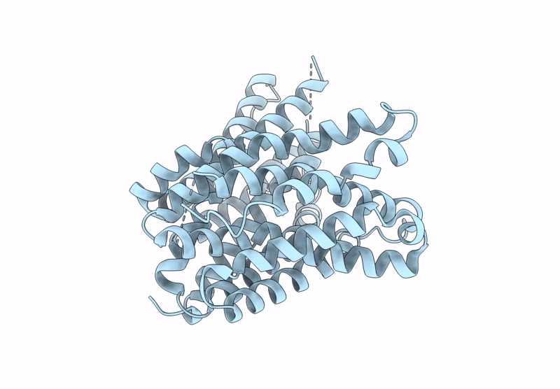 9GV5 image