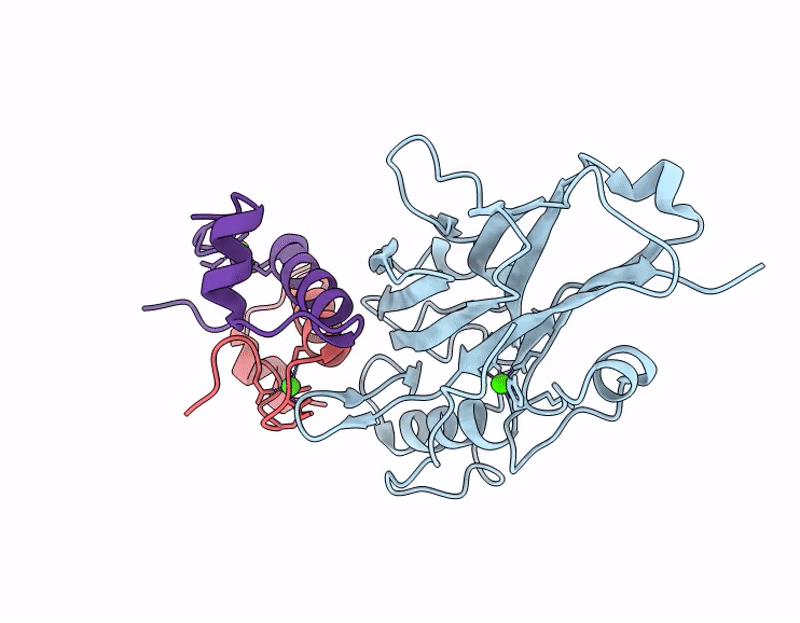 9GVB image