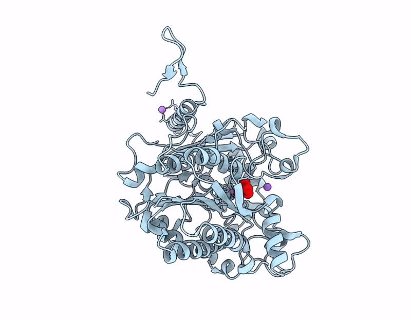 9GVD image