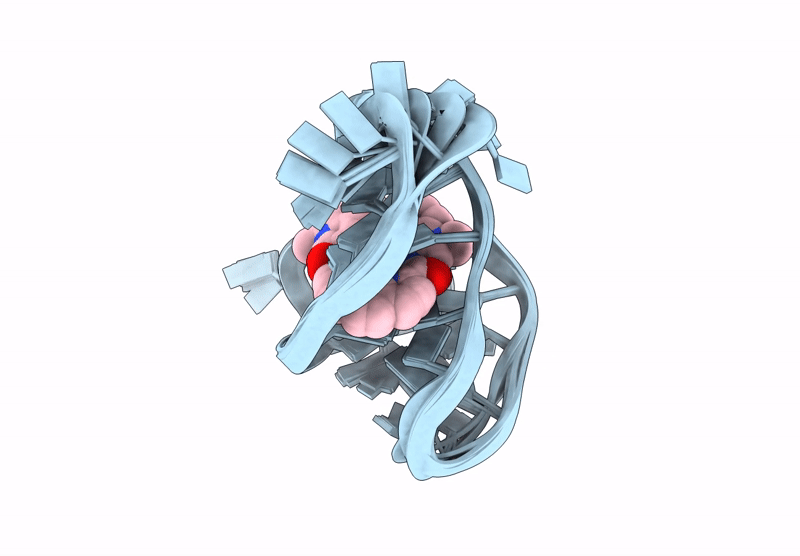 9GVI image