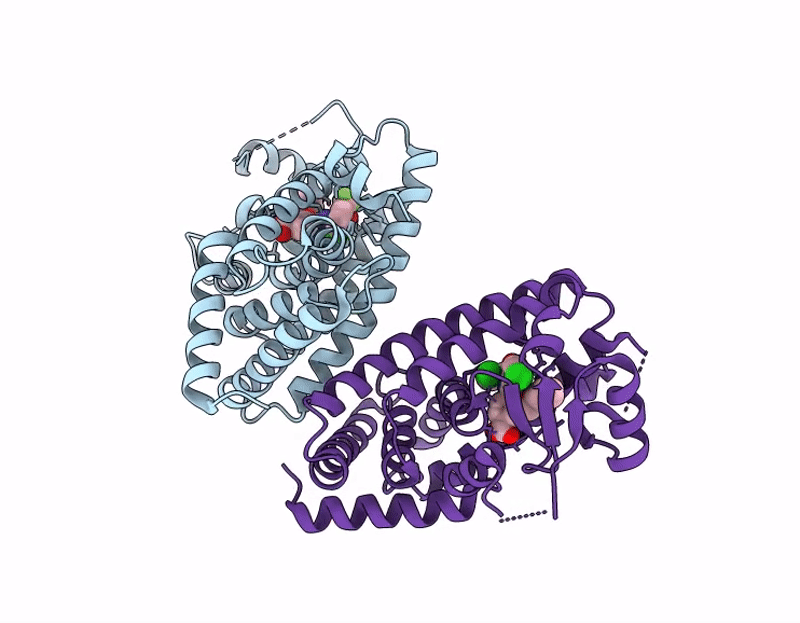 9GVP image