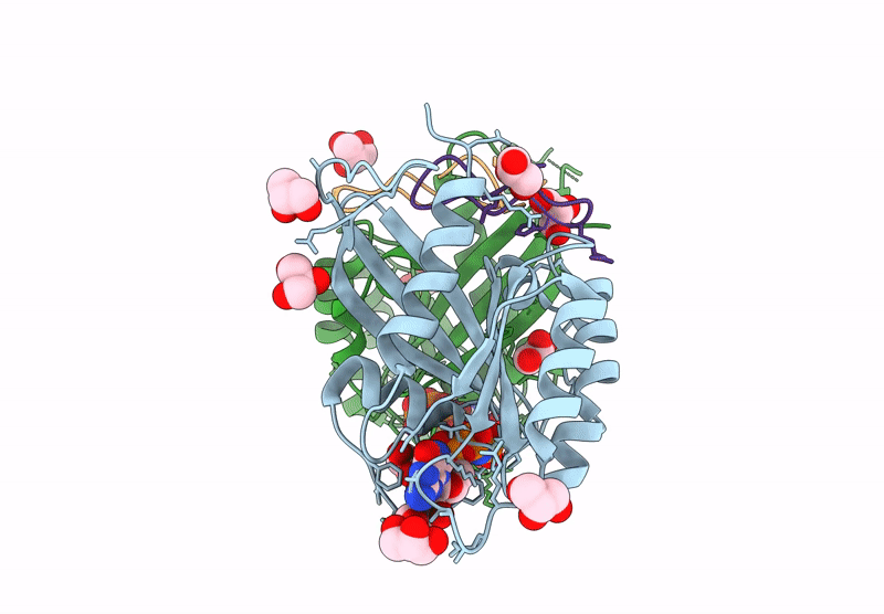 9GVU image