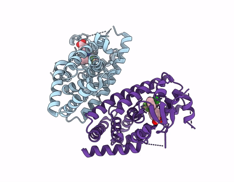 9GWP image