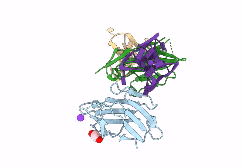 9GXH image