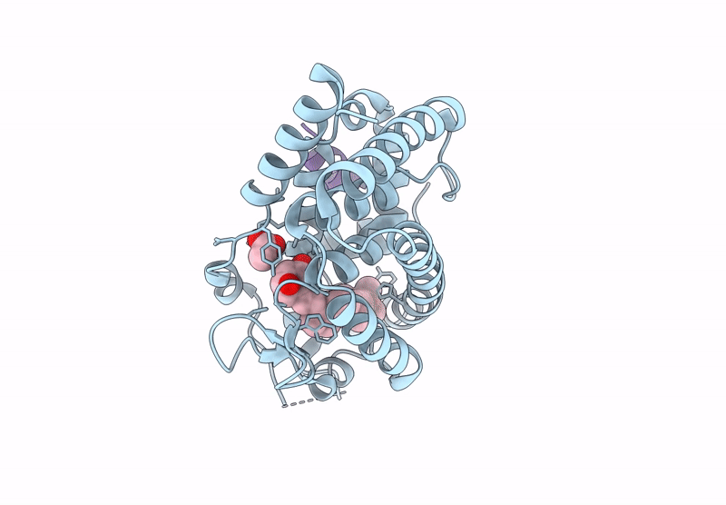 9GYC image
