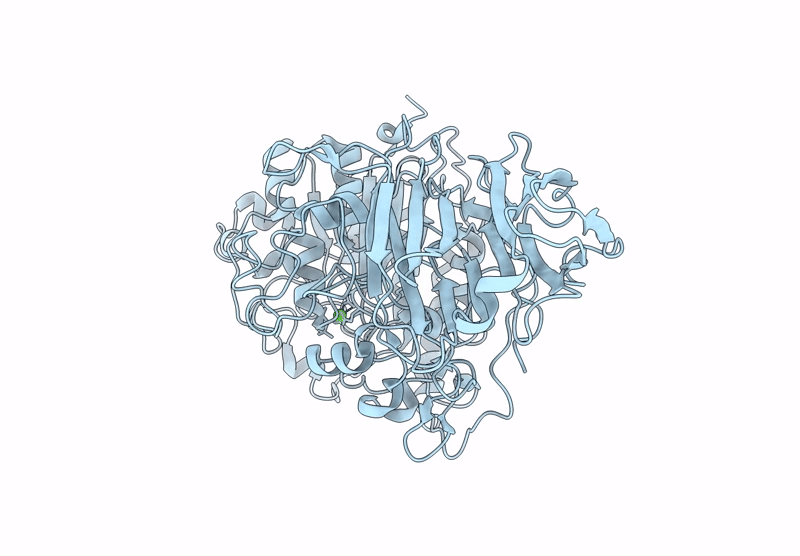 9GYE image