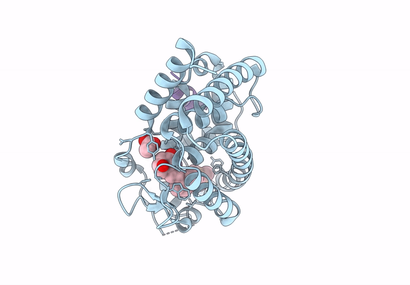 9GYK image