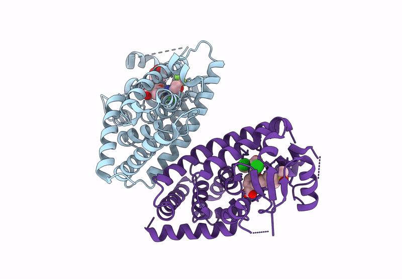 9GZI image