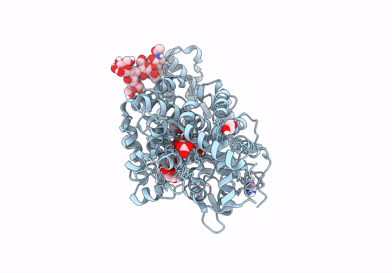 9H1C image