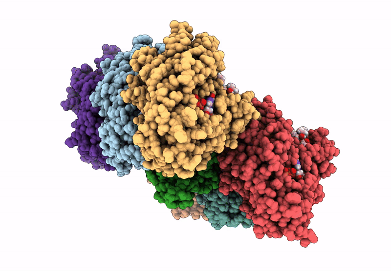 9H1O image