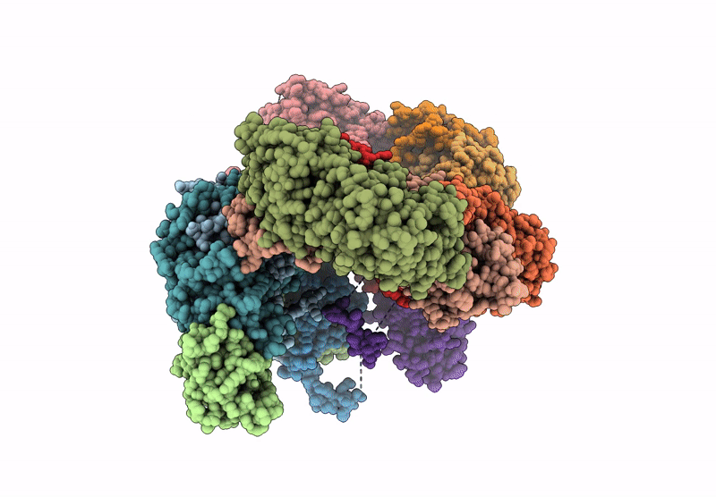 9H2B image