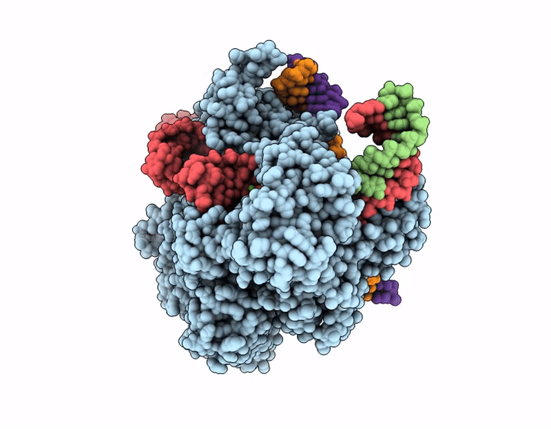 9H2G image