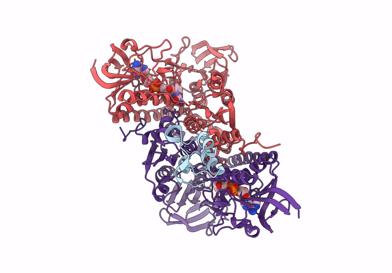 9H2I image