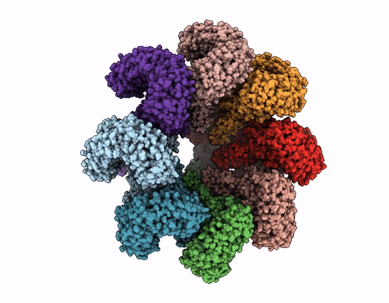 9H2L image