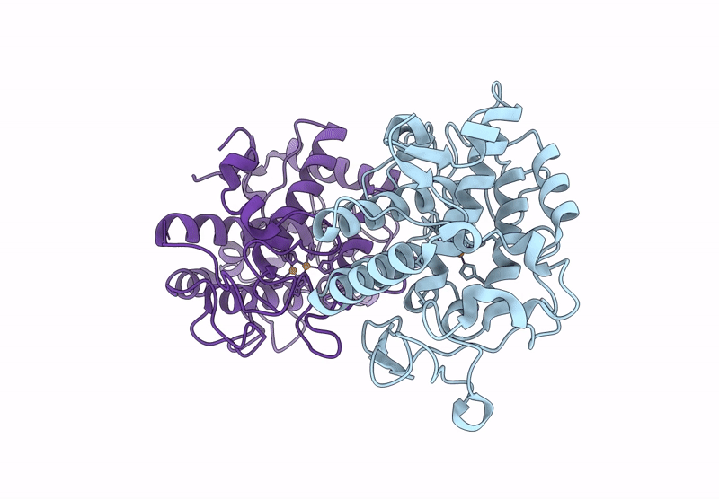 9H2N image