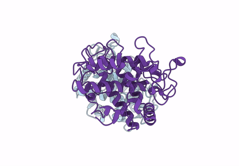 9H2O image
