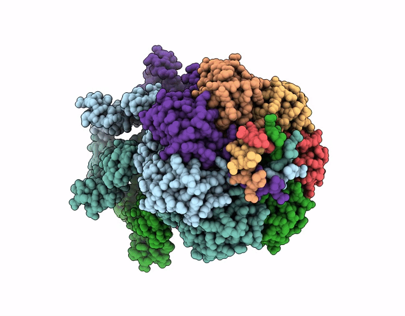 9H2S image