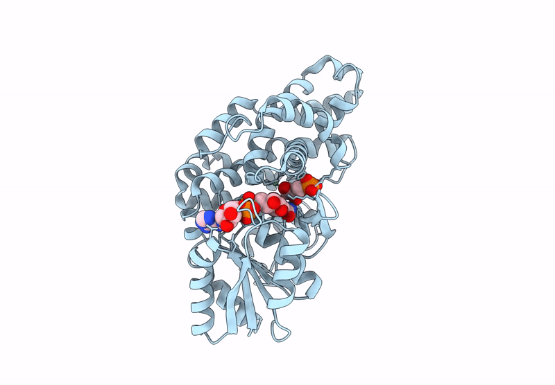 9H4X image