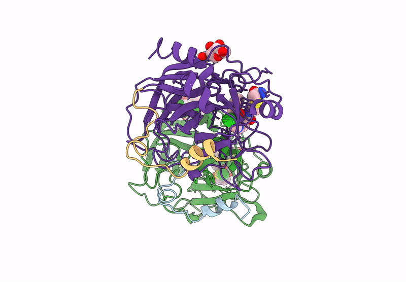 9H5N image