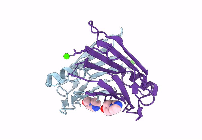 9H7C image
