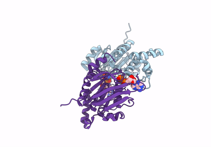 9H7X image