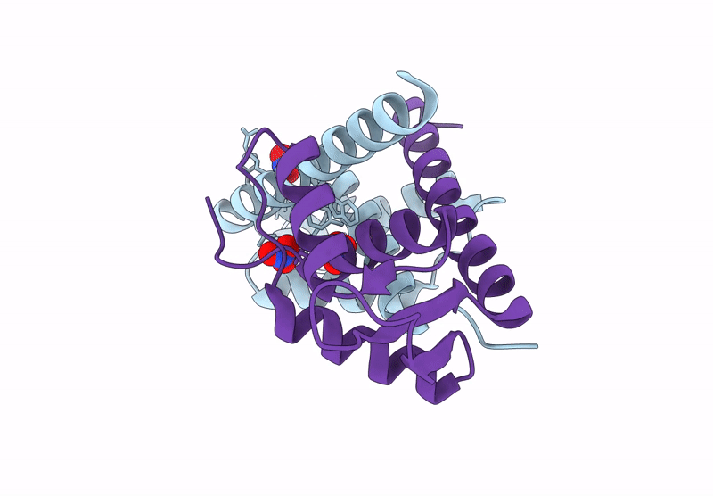 9H88 image