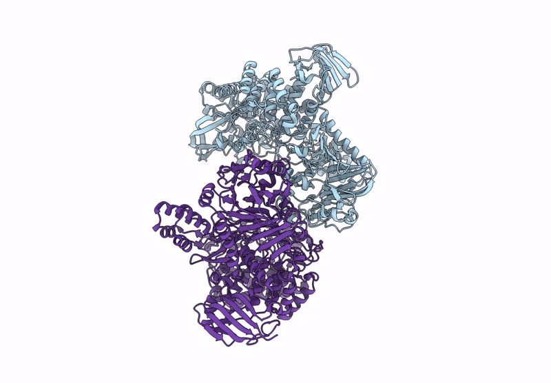 9H8V image